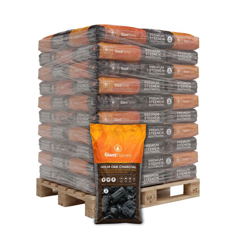 Palette Giant Flames Steineichen-Holzkohle 44 Säcke x 10 kg (440 kg) — Ansicht 1